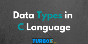 What are Data Types in C Language - Page Start