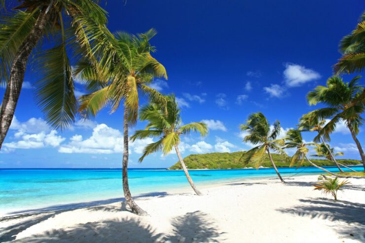 Tobago Cays Caribbean Island